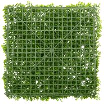Product Artificial boxwood plant mat 55x55 cm for decorative wall design