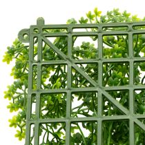 Product Artificial boxwood plant mat 55x55 cm for decorative wall design