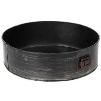 Product Planter, decorative baking pan, springform pan for planting, metal decoration Ø24cm H7.5cm