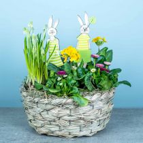 Planter made of hay, decorative basket, plant basket, oval flower basket, set of 3