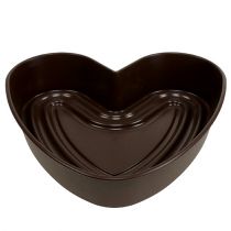 Product Plant heart "Amora" brown 35 x 35cm, 1pc
