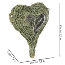 Product Natural plant heart for floristry with foil, 25cm