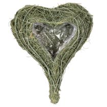Product Natural plant heart for floristry with foil, 25cm