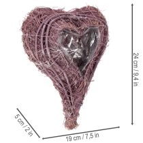 Product Plant heart with foil decoration for planting 24cm
