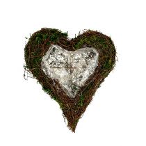 Product Plant heart vine, moss 22cm x 25cm H7cm