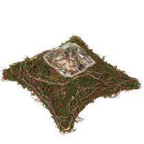 Product Planter with natural vines & moss Cushion 20×20×6.5cm