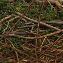 Product Planter with natural vines & moss Cushion 20×20×6.5cm