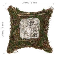 Product Planter with natural vines & moss Cushion 20×20×6.5cm