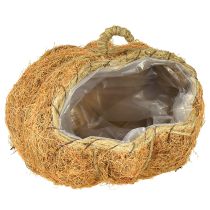 Product Plant basket pumpkin autumn decoration orange Ø22cm H17cm