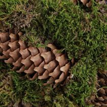 Product Rustic planting basket with moss and pine cones - decorative basket with handle Ø32cm H42cm - versatile garden and home decoration