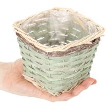 Product Square plant basket with foil, decorative planter, 14cm, 4 pieces