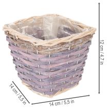 Product Square plant basket with foil, decorative planter, 14cm, 4 pieces