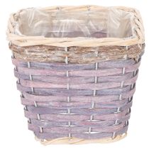 Product Square plant basket with foil, decorative planter, 14cm, 4 pieces