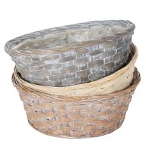 Product Woven basket as a stylish floral decoration for the living area, 23cm, 6 pieces