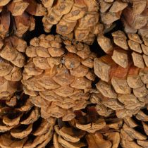 Product Round pine cone planting bowl, 30cm