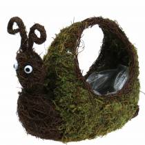 Plant basket snail moss brown 29x13cm H23cm