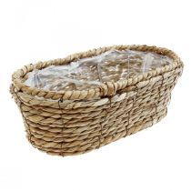 Plant basket seagrass basket oval decorative basket 28×15×10cm
