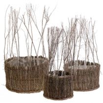 Plant basket made of twigs white washed Ø15-25cm set of 3