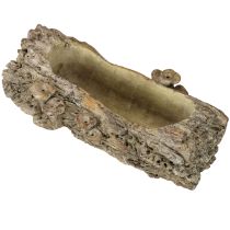 Product Planter cast stone tree trunk with mushrooms 36×18×12.5cm