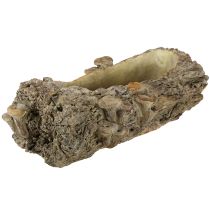 Product Planter cast stone tree trunk with mushrooms 36×18×12.5cm