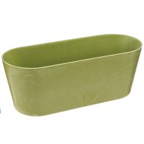 Product Plant Bowl Oval Green Plastic Bowl 27×11×10cm 3pcs