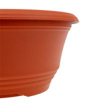 Product Plastic plant bowl Ø27cm round bowl terracotta 5pcs