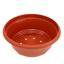 Product Plastic plant bowl Ø27cm round bowl terracotta 5pcs
