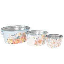 Product Planting bowls, spring, planters for flowers/birds, oval metal container L39/31/24.5cm, set of 3
