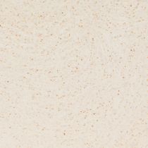 Product Planting Ship Plastic Plant Bowl Beige 28×9×9cm 3pcs