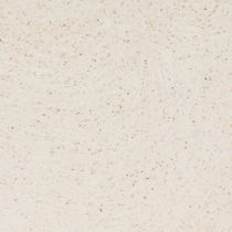 Product Plant Boat Decorative Bowl Plastic Beige 20×9cm H12cm 3pcs