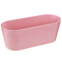 Product Planting boat planting bowl oval pink 27×11×10cm 3pcs