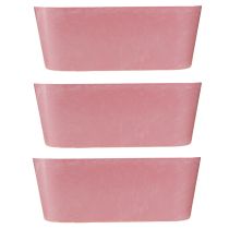 Product Planting boat planting bowl oval pink 27×11×10cm 3pcs