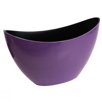 Product Plant boat decorative bowl purple 20×9cm H12cm