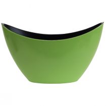 Product Plant boat green decorative bowl oval 20cmx9cmx12cm
