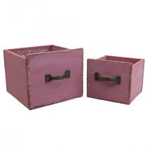 Product Plant drawer plant box wood purple 12.5/16cm set of 2