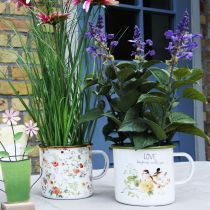 Product Enamel planting cup, cup for planting with a saying, Ø11cm