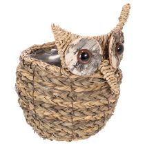 Product Handwoven owl basket decoration for windowsill, 18cm