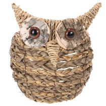 Product Handwoven owl basket decoration for windowsill, 18cm