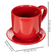 Product Large decorative cup with saucer, suitable as a plant pot, 17cm