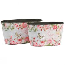 Product Plant pot roses, decorative vessel, flower tray 21.5cm / 18.5cm set of 2