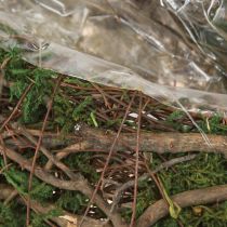 Product Planter with natural vines & moss Wave 20×20×6.5cm
