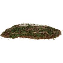 Product Planter with natural vines & moss Wave 20×20×6.5cm
