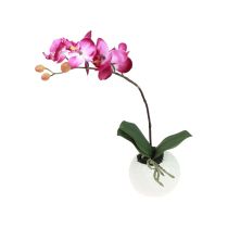 Product Artificial orchids in pot Phalaenopsis artificial flowers orchids pink 34cm