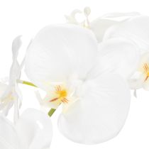 Product Artificial orchid plant, deceptively realistic, for office and living room decoration, 62cm