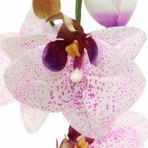 Artificial orchid Phaleanopsis White, Purple 43cm