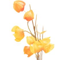 Product Artificial Chinese lantern plant, Physalis branch with blossoms, 95cm