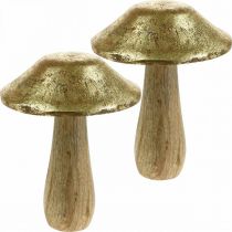 Mushroom mango wood gold, natural decorative mushrooms large Ø12cm H15cm 2pcs