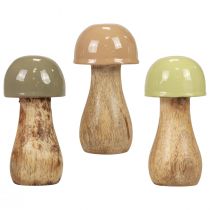 Product Wooden mushrooms decorative mushrooms wood beige, green Ø5cm H10.5cm 6pcs