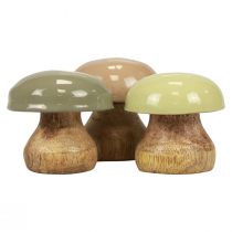 Product Wooden Mushrooms Deco Mushrooms Wood Deco Beige, Green Ø5cm H5.5cm 12pcs