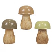 Product Wooden mushrooms decorative mushrooms wood beige, green Ø5cm 7.5cm 12pcs